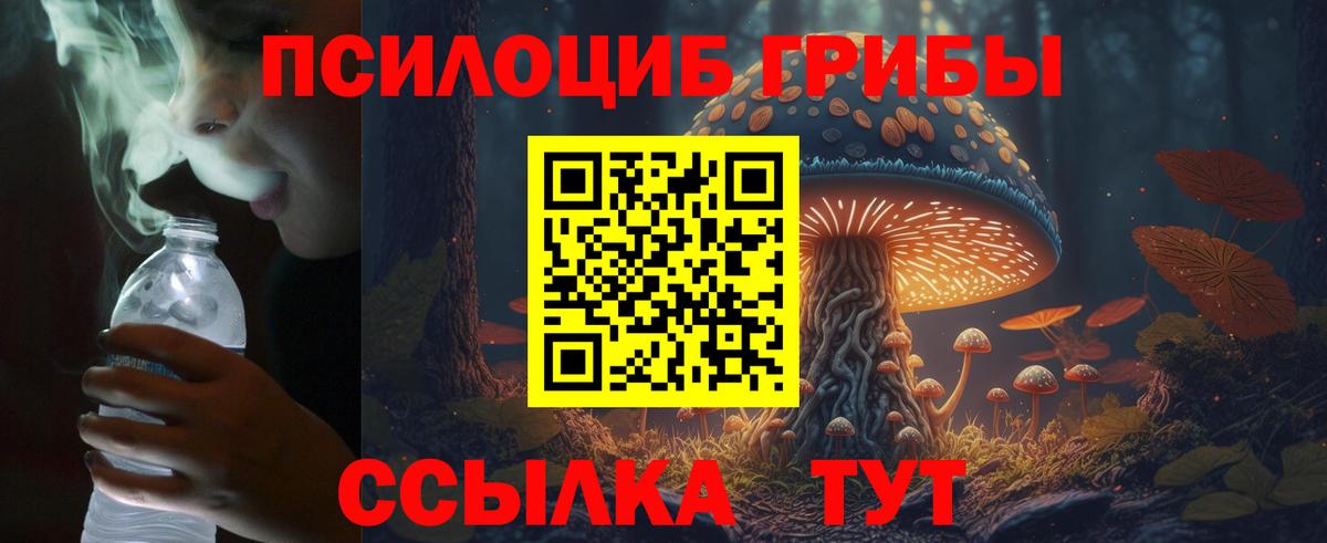 Псилоцибиновые грибы мухоморы Бирск