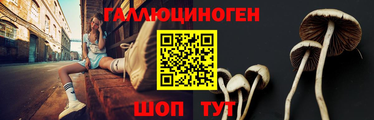 хочу наркоту  Галлюциногенные грибы прущие грибы  Вход с VPN  Бирск 